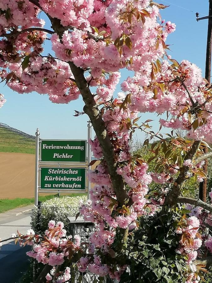 Ferienwohnung Pichler * Leibnitz